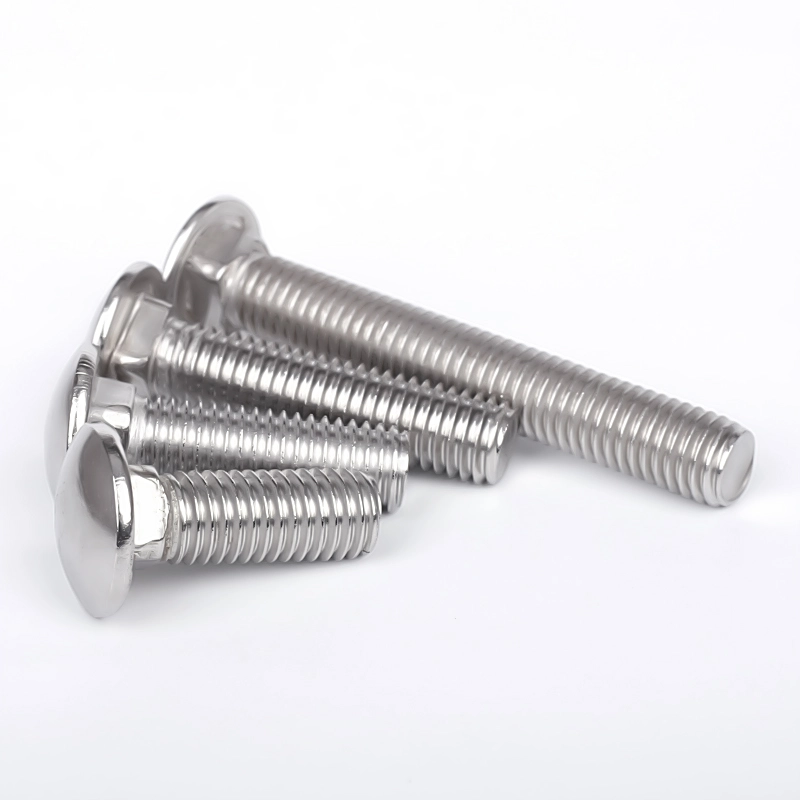 Stainless Steel Vehiculum Bolt Round Head Square Neck Bolt
